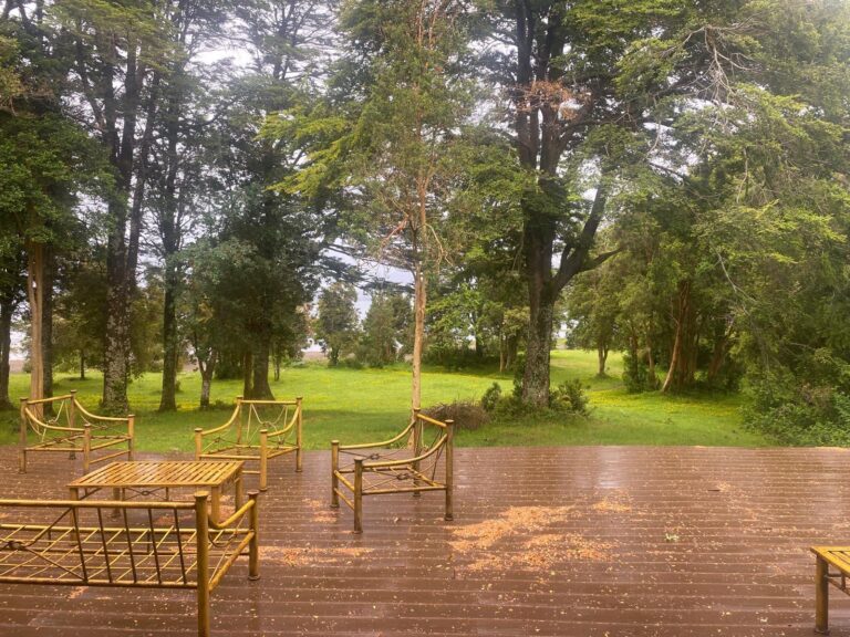 Parco vicino al lago Yelcho